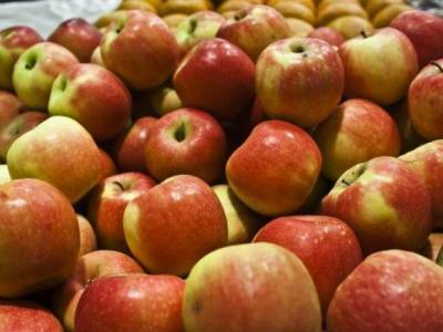 Диетолог предупредила о скрытой опасности яблок