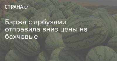 Баржа с арбузами отправила вниз цены на бахчевые - strana.ua - Украина