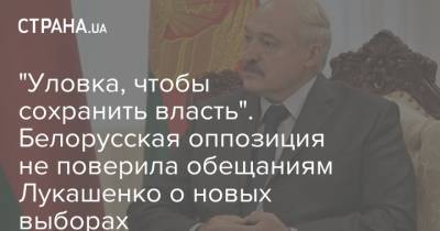 "Уловка, чтобы сохранить власть". Белорусская оппозиция не поверила обещаниям Лукашенко о новых выборах