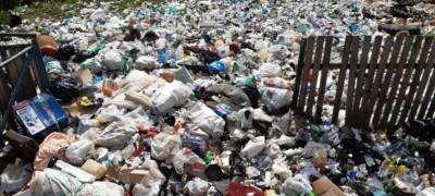 Свыше 200 кубометров мусора вывезли с несанкционированной свалки в Карелии (ФОТО)