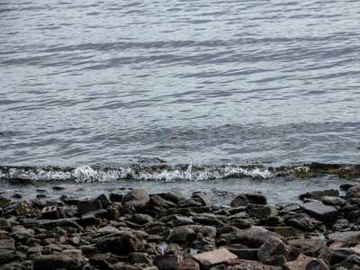 Во Владивостоке девочка упала с катера и утонула, пока мать пила виски