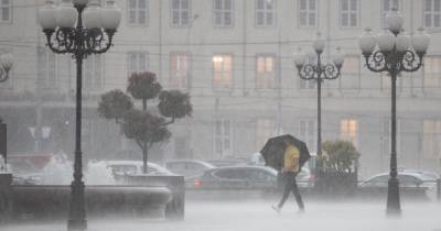 В Калининградской области в ближайшие три часа ожидаются ливень и гроза с усилением ветра