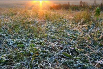 Заморозки до минус 3 градусов ожидаются в Забайкалье 19 августа