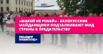 «Макей не робей» – белорусские майданщики подталкивают МИД...