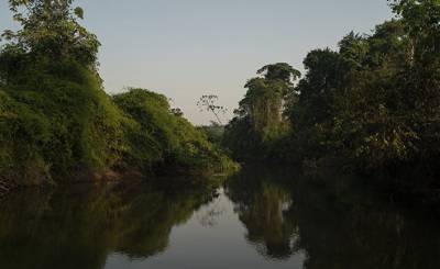 La Vanguardia (Испания): погубит ли Китай леса Амазонии?