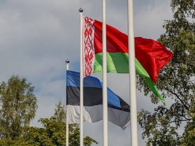 Эстония тоже решила не признавать итоги выборов в Белоруссии