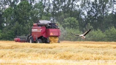 Аграрии Минской области рассчитывают завершить уборочную до конца недели