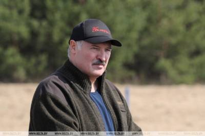 Парламент Литвы призвал не признавать Лукашенко президентом Беларуси