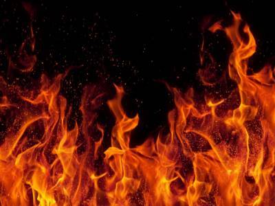 В Харьковской области горела фура: огонь потушили сердобольные водители