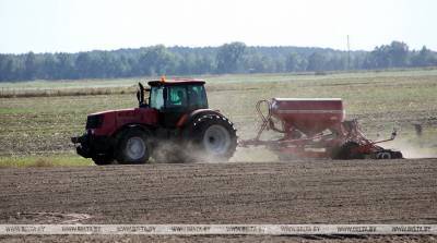 В Минской области к севу озимых зерновых приступят 1 сентября
