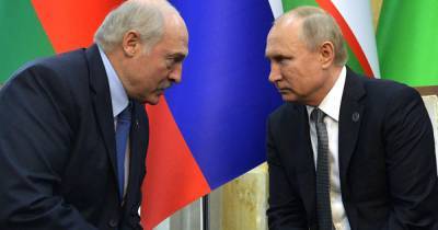 Путин сообщил Лукашенко о контактах с Макроном и Меркель по Белоруссии