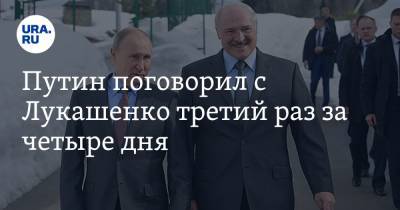 Путин поговорил с Лукашенко третий раз за четыре дня