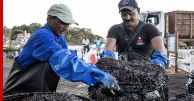 Жители Маврикия изобрели неожиданную «ловушку» для нефти