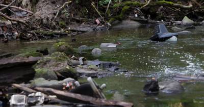 Власти с прокуратурой будут искать загрязнителей реки Лесной