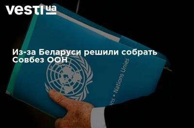 Из-за Беларуси решили собрать Совбез ООН