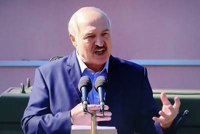 Лукашенко назвал создание Совета оппозиции попыткой захватить власть