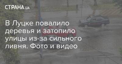 В Луцке повалило деревья и затопило улицы из-за сильного ливня. Фото и видео