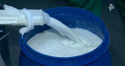 В России предложили запустить маркировку молока, кефира и сыров