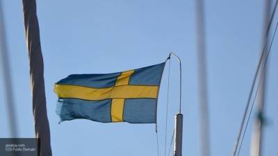 Правительство Швеции частично приостановило поставки помощи в Белоруссию