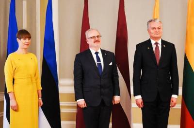 Президенты стран Балтии и Польши вмешиваются в дела Белоруссии и требуют повторных выборов