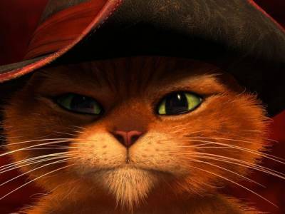 В Сети нашли копию кота из «Шрека»: живой мультик