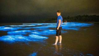 Ночные посетители пляжа в Ирландии увидели редкое природное светошоу