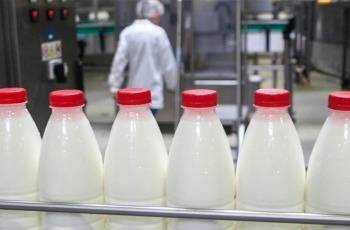 Обязательную маркировку молочных продуктов могут отложить