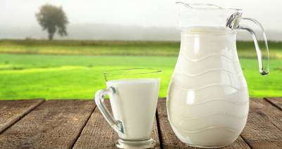 В Украине на молоке сейчас не зарабатывают ни производители, ни переработчики