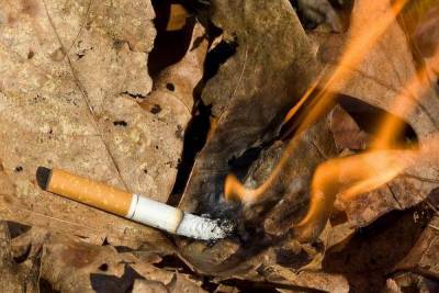 В лесах Бурятии запрещается розжиг костров и «выкур» сигарет