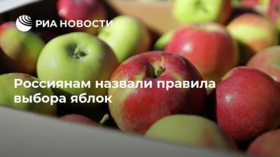 Россиянам назвали правила выбора яблок
