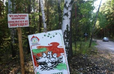 Режим ЧС в лесах Красноярского края из-за пожаров введен третий раз за год