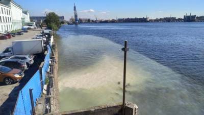 Петербуржцы заметили слив отходов в залив возле "Севкабель Порта"
