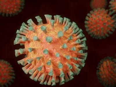 Немецкие узнали о новые детали о механизме инфицирования коронавирусом
