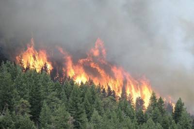 Режим ЧС ввели в Иркутской области и Красноярском крае из-за лесных пожаров