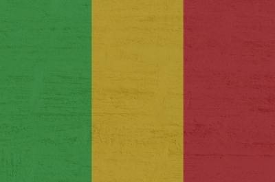 Россияне не пострадали в ходе мятежа в Мали