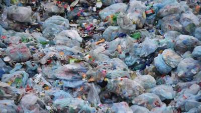 "Зеленый Фронт" проверяет законность завоза мусора на МПБО-2 в Янино