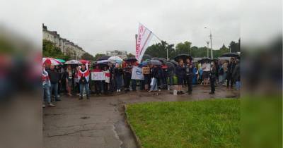 Протесты в Беларуси: ОМОН разогнал рабочих Минского тракторного завода, есть задержанные (фото)