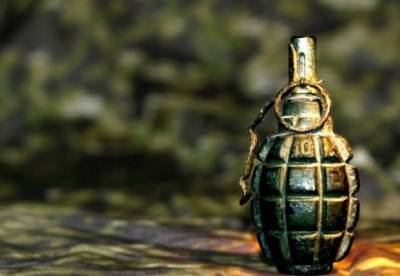 В Одессе у посетителя суда нашли муляж гранаты Ф-1