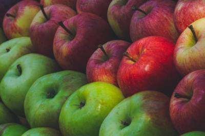 В Роспотребнадзоре предупредили об опасности злоупотребления яблоками