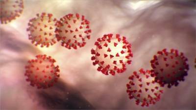 Ученые раскрыли ранее неизвестный механизм инфицирования коронавирусом