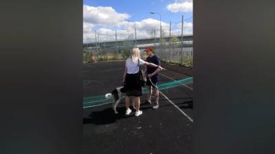 Агрессивная москвичка порезала теннисиста на корте, защищая своих детей и собак