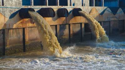 Росприроднадзор расследует загрязнение реки Мустаоя в Ленобласти