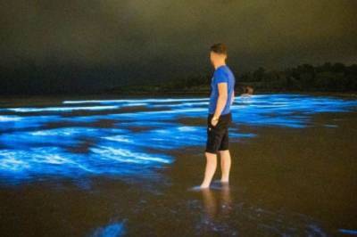 Вода на ночном пляже в Ирландии засветилась яркими синими огнями. Фото