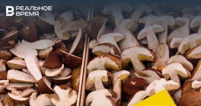 В Татарстане семья отравилась белыми грибами, один ребенок погиб