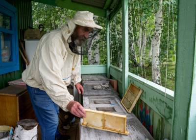«Ты пчела — я пчеловод»: Пенсионер из Бурятии придумал улей, который спасет человеческую цивилизацию