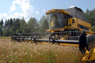 Аграрии Подмосковья собрали более 50 процентов зерновых культур