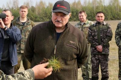 Лукашенко указал Западу на бревно в глазу