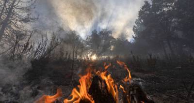В зоне лесных пожаров в Калифорнии зафиксирован редчайший огненный торнадо