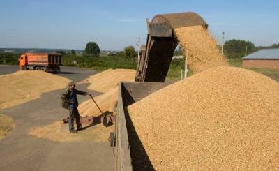 Bloomberg (США): засуха и дожди перекраивают мировые потоки пшеницы