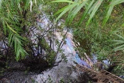 В Хабаровском крае в реку попали нефтепродукты